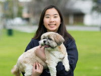 La communication verbale entre le maître et le chien