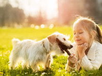 Socialisation et expérience précoce