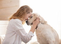 Le sentiment d'amour chez le chien