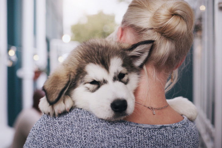 Une femme tient un chiot dans ses bras