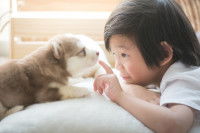 Être à l’écoute du chien