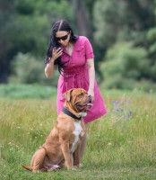 Décoder les comportements de l'autre