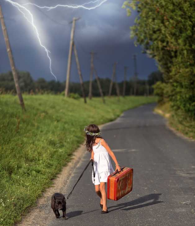 Mon Chien A Peur De L Orage Pourquoi Et Que Faire