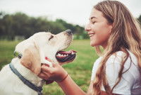 Une femme et son chien face à face en train de sourire