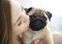 Une femme en train d'embrasser son chiot