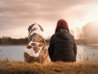 Un maitre et son chien regardant l'horizon