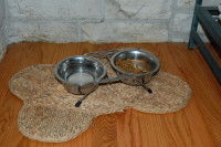 Que faire face à un chien qui mange mal ?