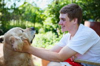 Savoir si un chien aime être touché et caressé