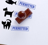 Schéma d'un permis pour posséder un animal de compagnie