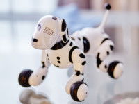 Le principe du test de Quéinnec