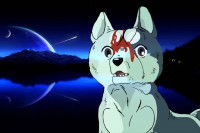 Gin, le chien héros de l'anime japonais « Ginga Nagareboshi Gin »