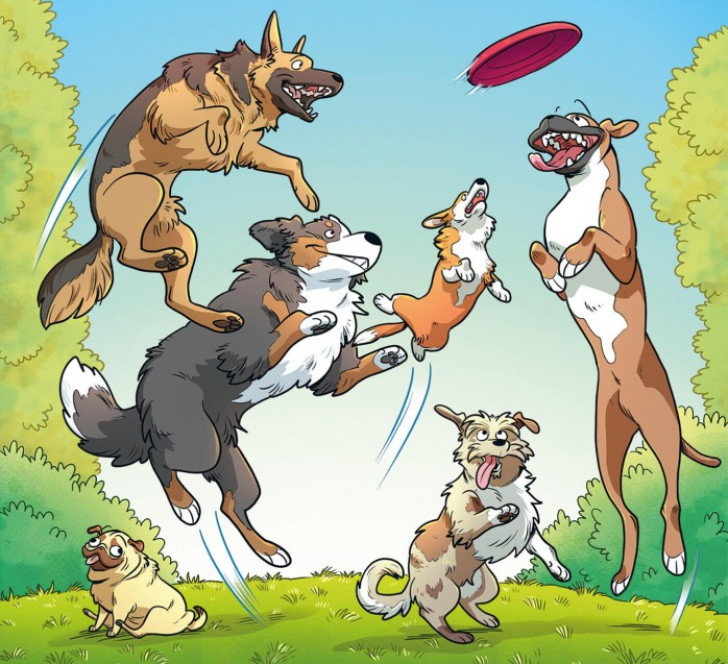 La couverture de la bande dessinée « Les Chiens » montrant un groupe de chiens sautant pour attraper un frisbee