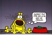 Une couverture d'une bande dessinée « Grimmy » le montrant avec des insectes autour de ses oreilles