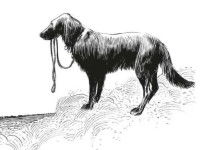 Une image de la bande dessinée « Jim » montrant le chien noir Jim avec sa laisse dans la gueule