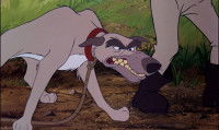 Chef, le chien d'Amos (©Disney)