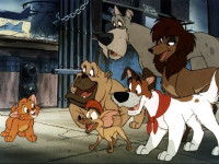 Oliver et ses amis canins (©Disney)