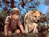 Travis et Fidèle Vagabond (©Disney)