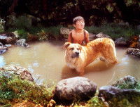 Travis et Fidèle Vagabond en train de se baigner ©Disney