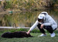 Un homme juif caressant un chien