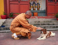 Un moine bouddhiste caressant un chien
