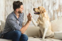 Citations sur le chien et les femmes