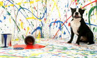 Citations sur le chien comme artiste