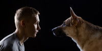Citations sur le chien comme miroir (ou miroir inversé) de l'Homme