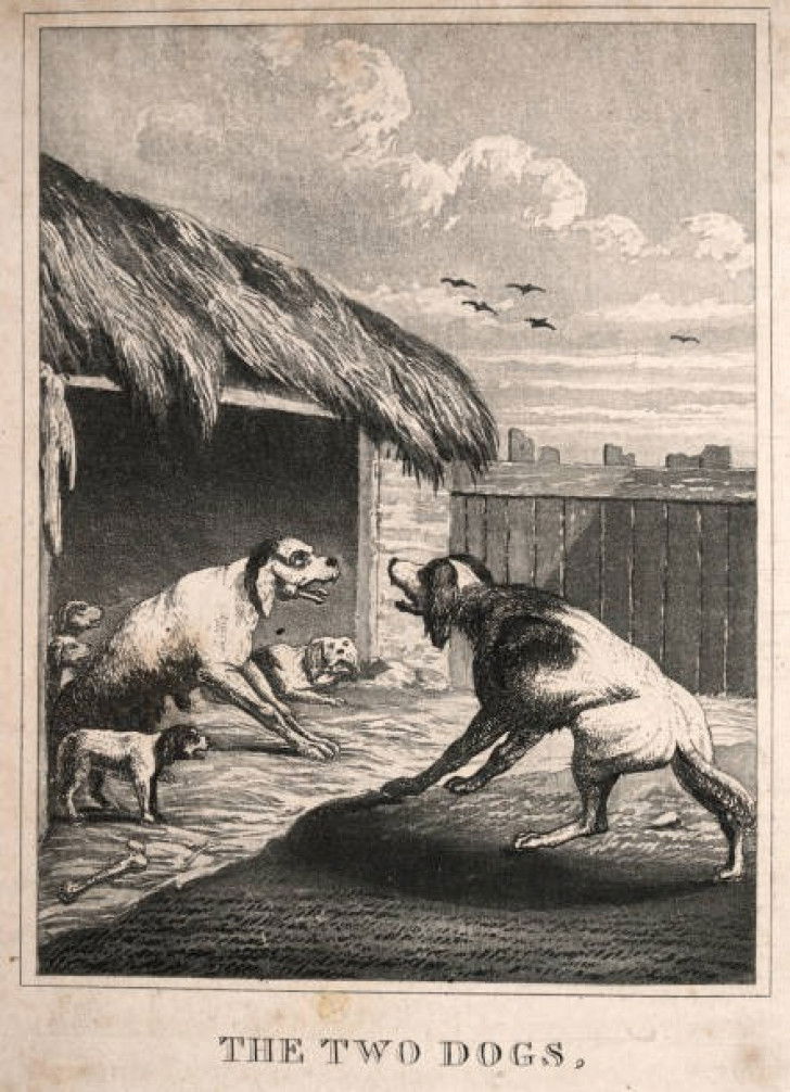 Illustration en noir et blanc de la fable « Les Deux Chiens », d’Ésope