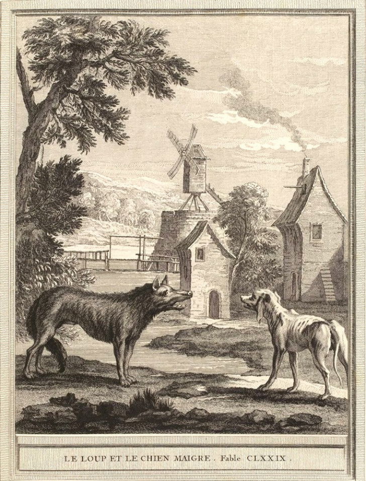 Illustration de la fable « Le Loup et le Chien maigre », de Jean de La Fontaine