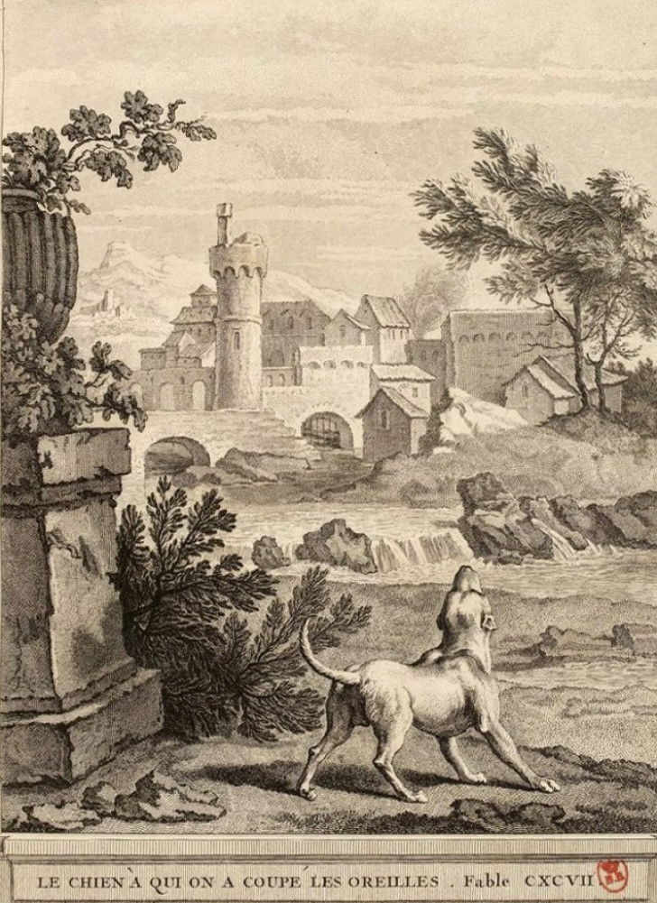 Illustration de la fable « Le Chien à qui on a coupé les oreilles », de Jean de La Fontaine