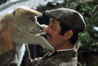 Hachiko, héros du film qui lui est consacré