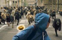 Une image du film « White God »