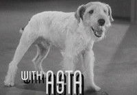 Le Fox Terrier Skippy incarnant Asta dans la comédie policière « L’Introuvable »