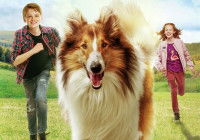 Lassie, le Colley du film « Lassie, chien fidèle »