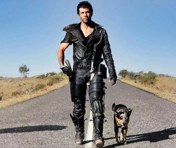Le chien de « Mad Max 2 Le Défi » (1981) Chien célèbre du cinéma
