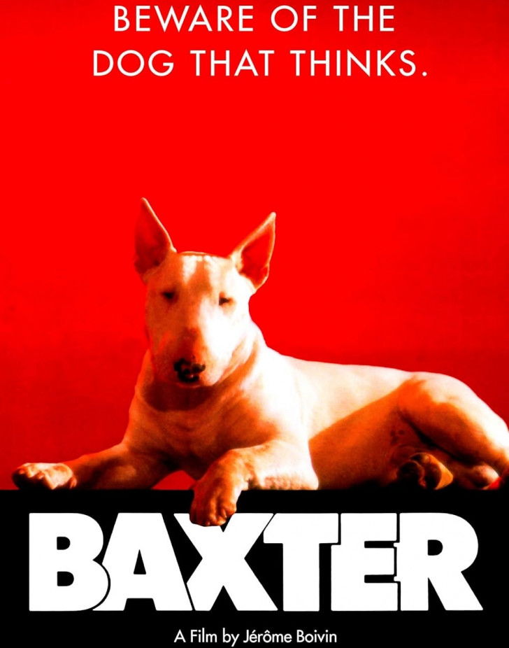 L'affiche du film « Baxter »