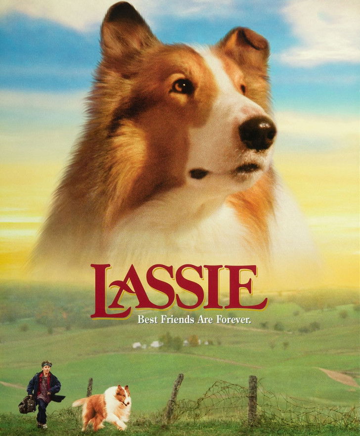 L'affiche du film « Lassie : des amis pour la vie » (1994)