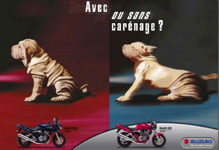 Une affiche de publicité pour une moto Suzuki Bandit mettant en scène un chien de race Shar-Peï