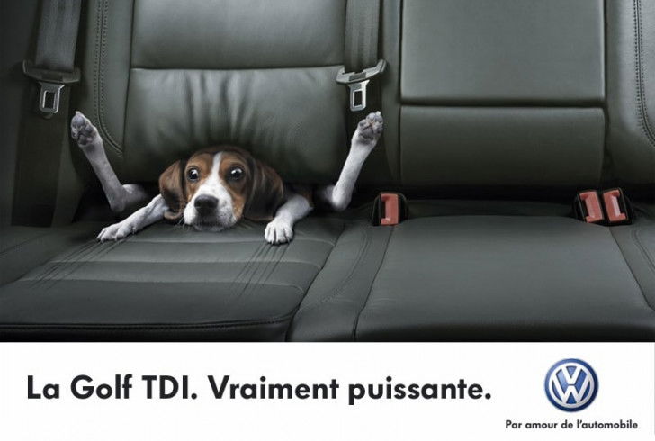 Une affiche de publicité pour la Golf TDI de Volkswagen, avec un chien Beagle ratatiné sur la banquette arrière