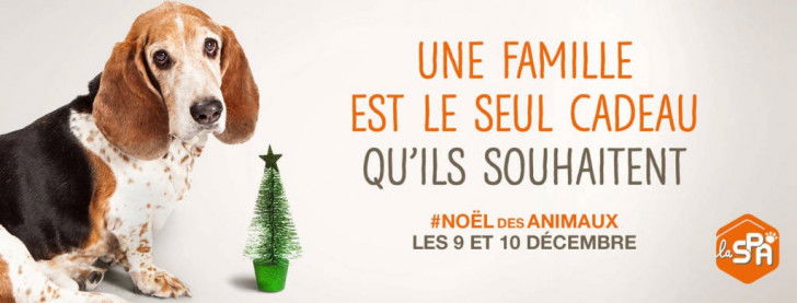 Une affiche de publicité pour le Noël des animaux de la Société Protectrice des Animaux française (SPA), avec un chien Basset Hound