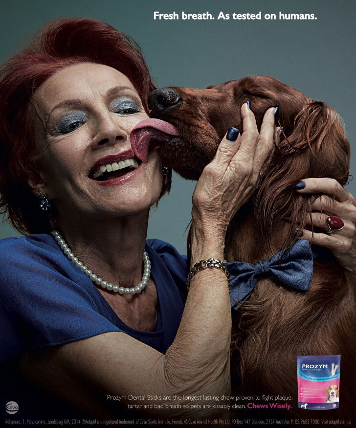 Une affiche de publicité pour des bâtonnets dentaires Prozym représentant un Setter Irlandais léchant sa maîtresse