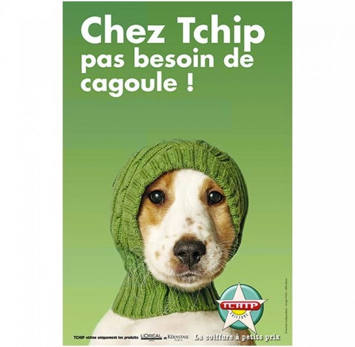 Une affiche de publicité pour Tchip Coiffure mettant en scène un chien portant une cagoule