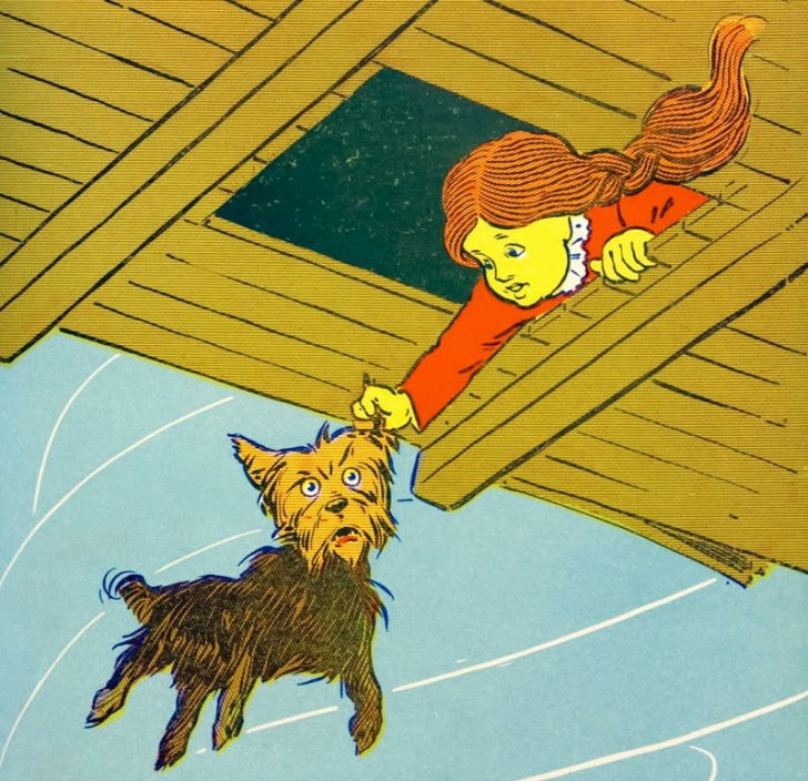 Une illustration du livre « Le magicien d’Oz » montrant Dorothy en train d'attraper son chien Toto par l'oreille