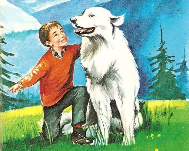 Une illustration du roman « Belle et Sébastien »