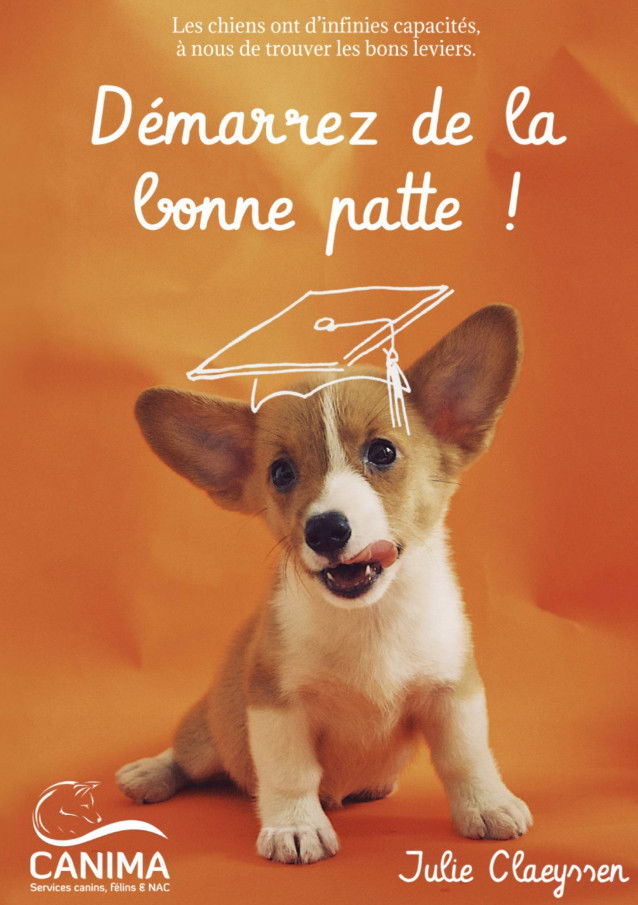 Démarrez de la bonne patte ! de Julie Claeyssen