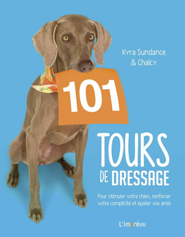 101 tours de dressage de Kyra Sundance