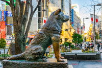 Statue de Hachiko à Shibuya (Tokyo)