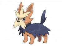 Le Pokémon Ponchien