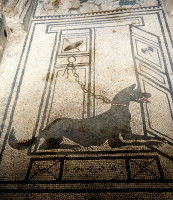 Mosaïque sur le sol d'une maison à Pompéi