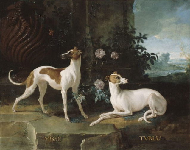 Le tableau « Misse et Turlu, levrettes de Louis XV », de Jean-Baptiste Oudry, qui représente deux chiens du roi de France Louis XV